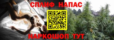 дживик Обнинск