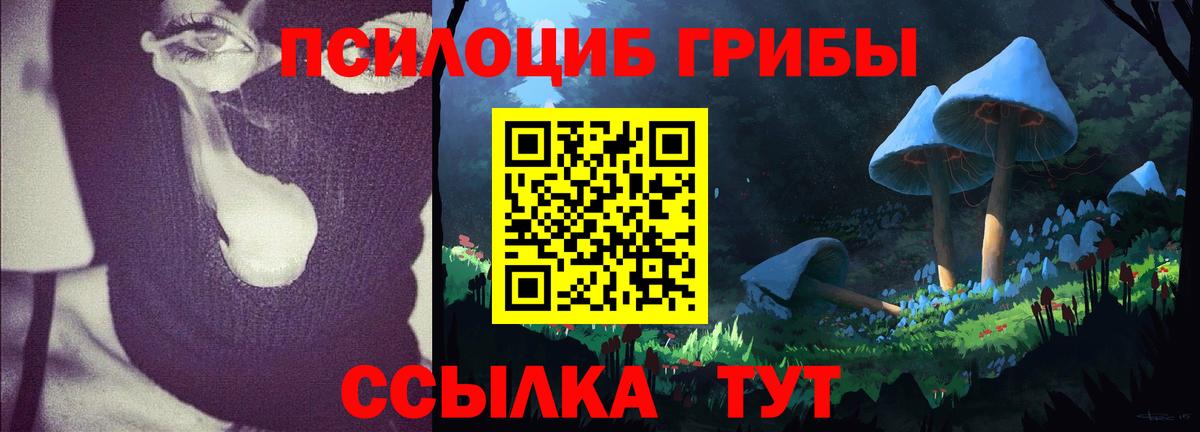 Галлюциногенные грибы мицелий Реутов