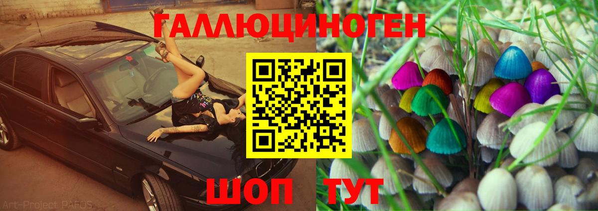 Псилоцибиновые грибы Psilocybine cubensis  Вход с VPN  Реутов 